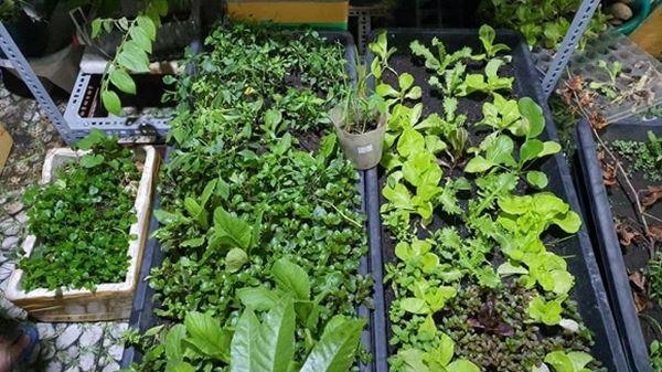 Cẩm Ly tiết lộ điều kỳ lạ trong biệt thự: Lạ lùng lắm, tôi không thể hiểu-18