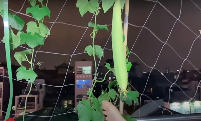 Cẩm Ly tiết lộ điều kỳ lạ trong biệt thự: Lạ lùng lắm, tôi không thể hiểu-19