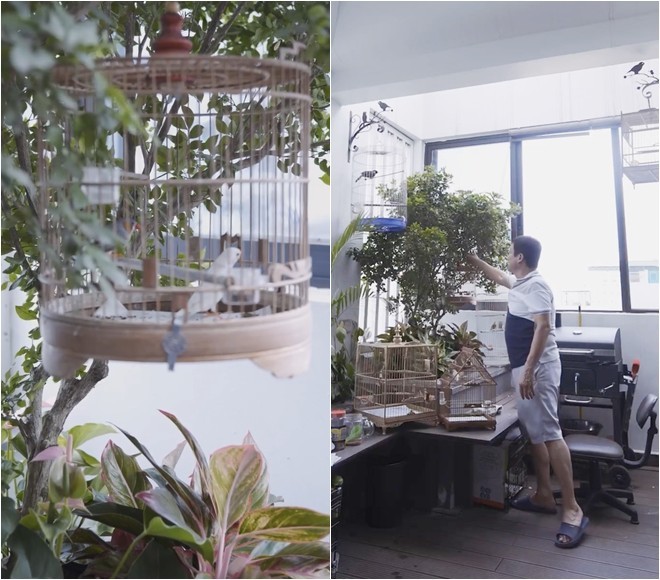 Nghệ sĩ Chí Trung lần đầu khoe gia trang xanh mát thoáng đẹp, đủ chim gà cá chó nhưng kêu khổ-2