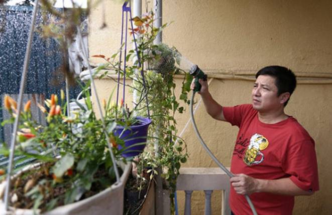 Nghệ sĩ Chí Trung lần đầu khoe gia trang xanh mát thoáng đẹp, đủ chim gà cá chó nhưng kêu khổ-7