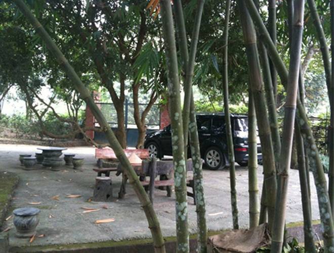 Nghệ sĩ Chí Trung lần đầu khoe gia trang xanh mát thoáng đẹp, đủ chim gà cá chó nhưng kêu khổ-9