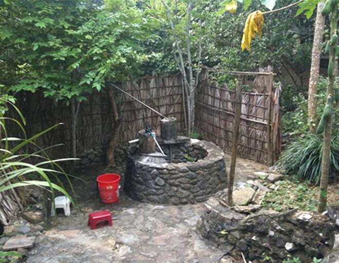 Nghệ sĩ Chí Trung lần đầu khoe gia trang xanh mát thoáng đẹp, đủ chim gà cá chó nhưng kêu khổ-10