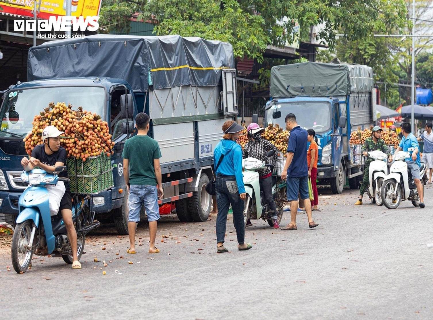 Thủ phủ vải thiều Lục Ngạn mất mùa, giá tăng gấp rưỡi-1