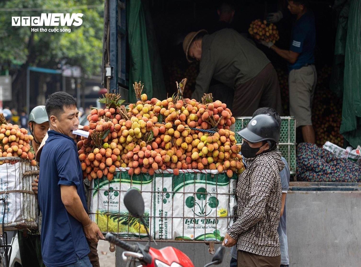 Thủ phủ vải thiều Lục Ngạn mất mùa, giá tăng gấp rưỡi-10