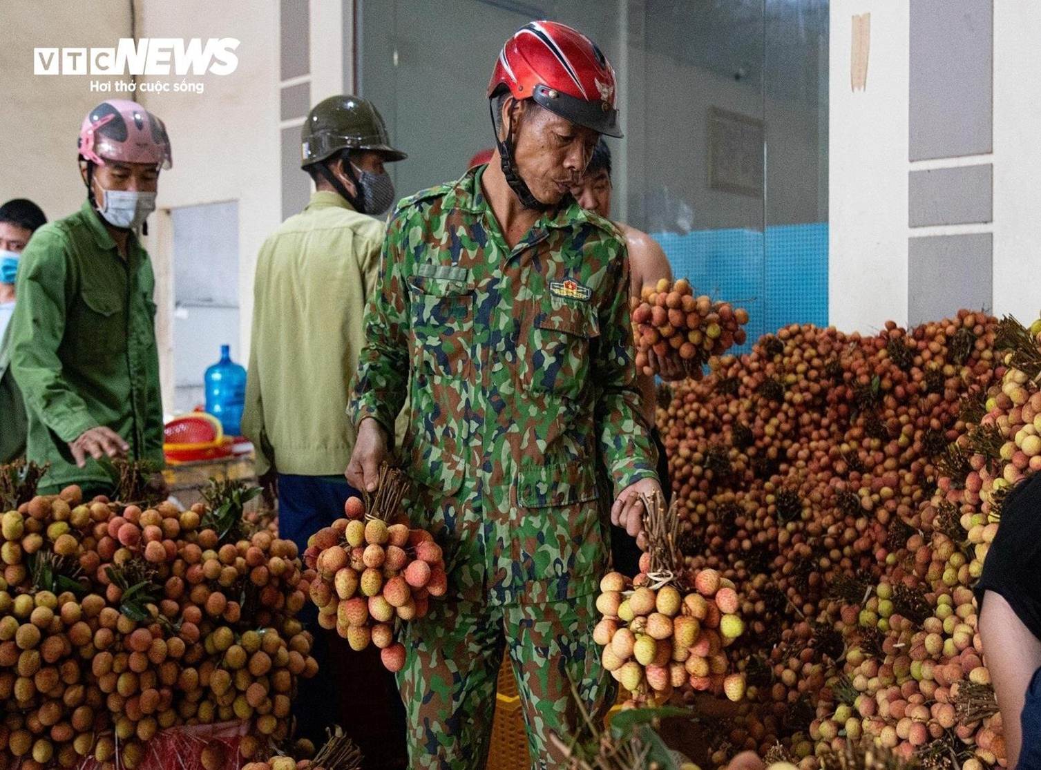 Thủ phủ vải thiều Lục Ngạn mất mùa, giá tăng gấp rưỡi-13