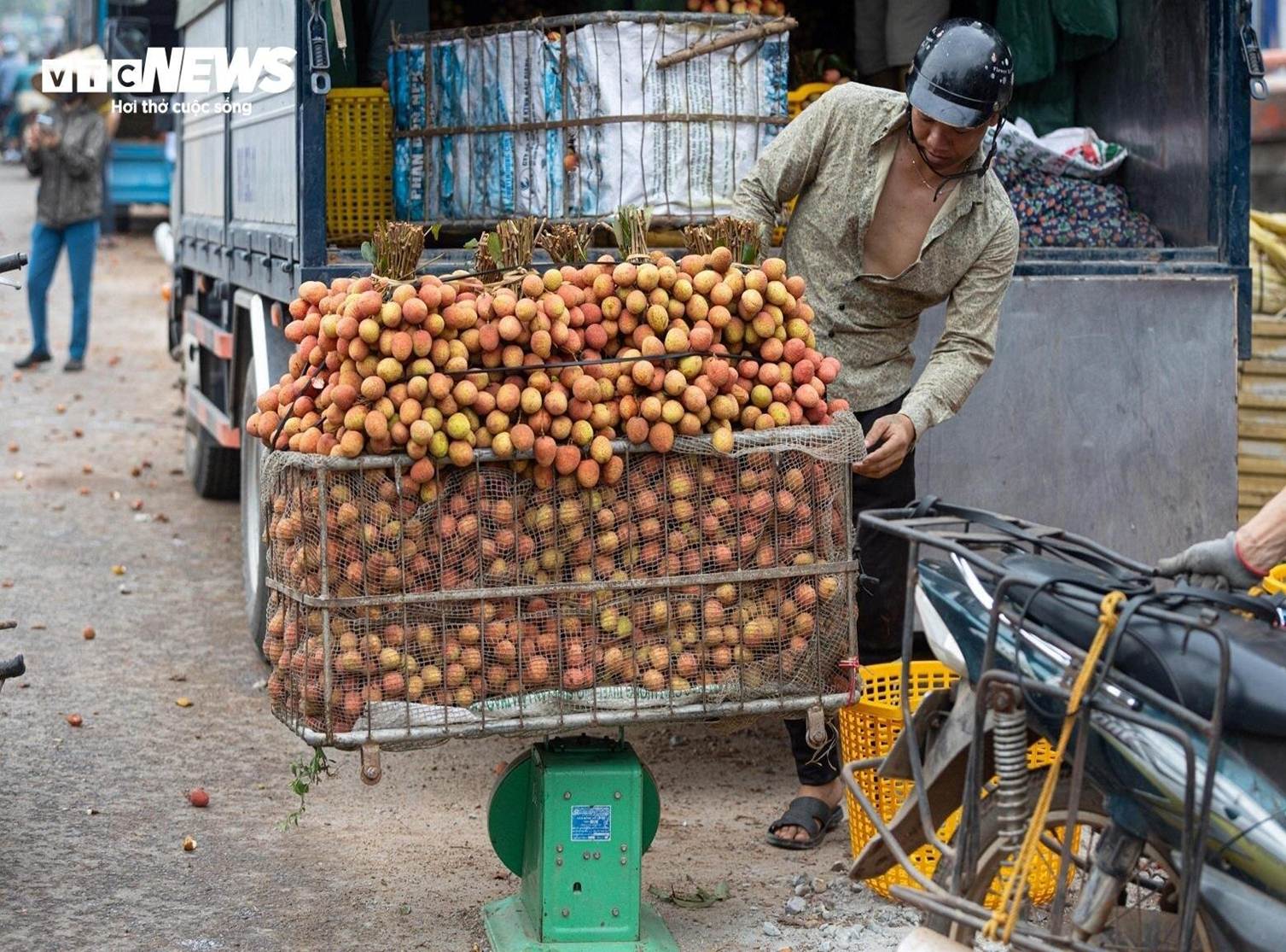 Thủ phủ vải thiều Lục Ngạn mất mùa, giá tăng gấp rưỡi-9