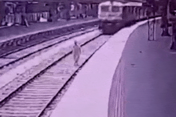 Người phụ nữ bị tàu hỏa đâm trúng khi nhảy xuống đường ray để dọa bạn trai