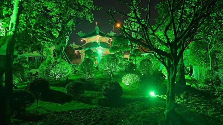 Việt Trinh lên tiếng về mối quan hệ với Lý Hùng, cả hai hiện sống ra sao?-8