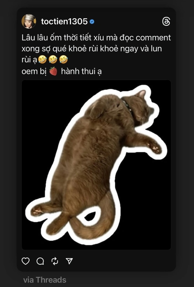 Tóc Tiên có động thái gắt khi bị netizen liên tiếp khẳng định chuyện đang mang thai-6