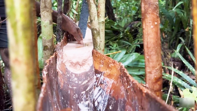 48 giờ sống cùng bộ lạc ăn thịt người, ẩn mình trong rừng rậm của gã lang thang người Việt-5