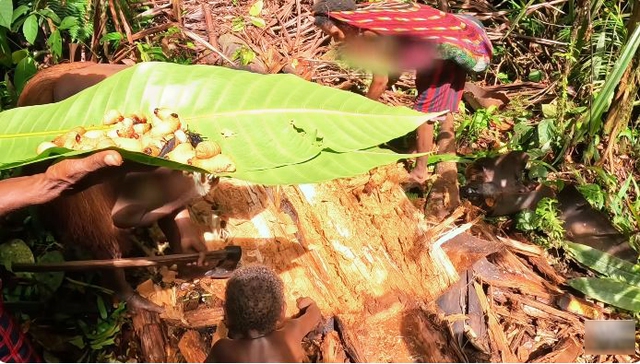 48 giờ sống cùng bộ lạc ăn thịt người, ẩn mình trong rừng rậm của gã lang thang người Việt-7