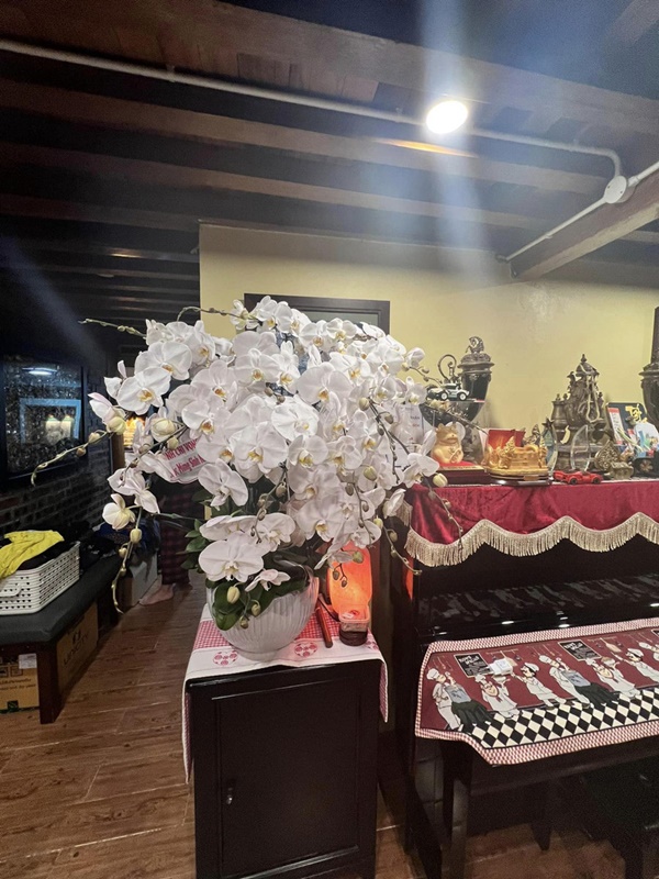 Khám phá biệt phủ ở ngoại ô của gia đình NSND Xuân Bắc-9