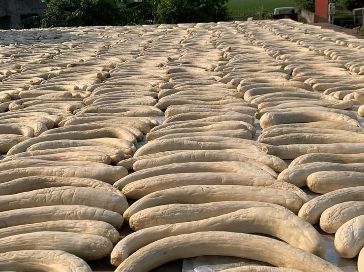 Loại dưa gang muối khổng lồ” giá đến 20.000 đồng/quả, dân làm không kịp bán-1