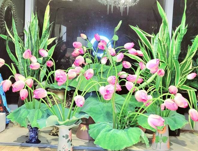 Vợ Mạnh Trường cắm hoa sen như một khu vườn trong nhà, Đan Lê thốt lên: Đầu tư-1