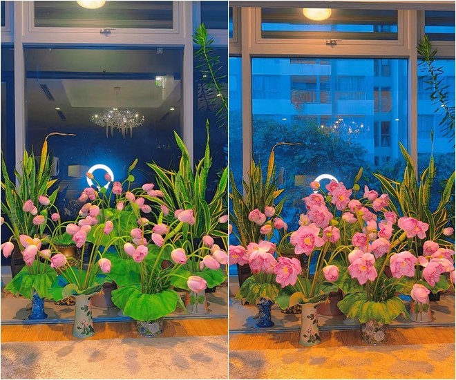Vợ Mạnh Trường cắm hoa sen như một khu vườn trong nhà, Đan Lê thốt lên: Đầu tư-3