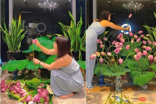 Vợ Mạnh Trường cắm hoa sen như một khu vườn trong nhà, Đan Lê thốt lên: