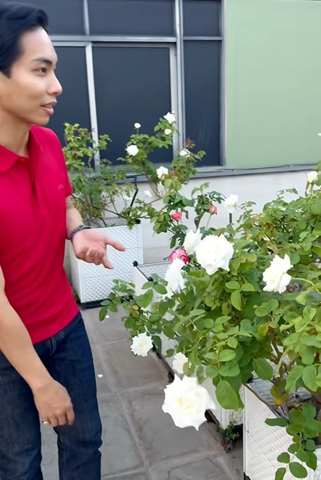Cận cảnh vườn hoa hồng ngoại nhà Khánh Thi - Phan Hiển đang bung lụa hết cỡ, có giống hoa đột biến-11