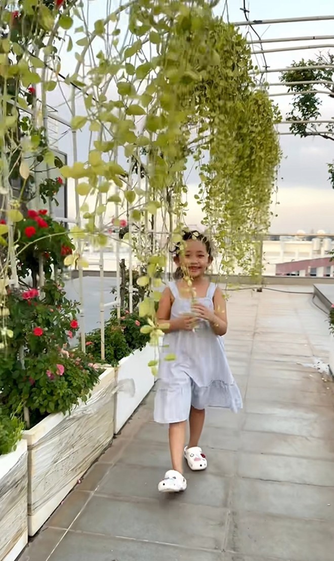 Cận cảnh vườn hoa hồng ngoại nhà Khánh Thi - Phan Hiển đang bung lụa hết cỡ, có giống hoa đột biến-24