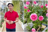Cận cảnh vườn hoa hồng ngoại nhà Khánh Thi - Phan Hiển đang 'bung lụa hết cỡ', có giống hoa đột biến