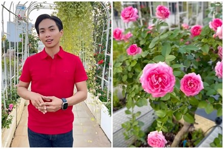 Cận cảnh vườn hoa hồng ngoại nhà Khánh Thi - Phan Hiển đang 
