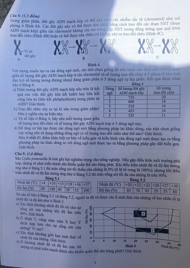 Đề thi Toán, Sinh học vào lớp 10 THPT chuyên Khoa học Tự nhiên Hà Nội-4