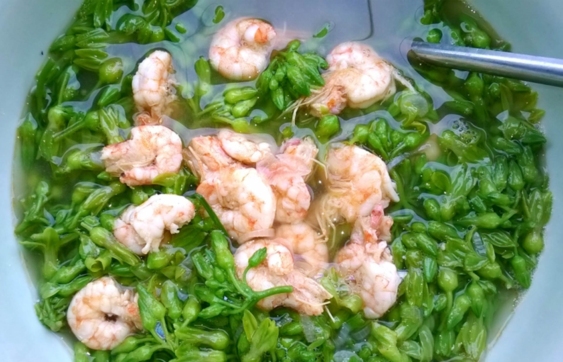 Cách nấu canh hoa thiên lý với tôm giải nhiệt ngày hè-1