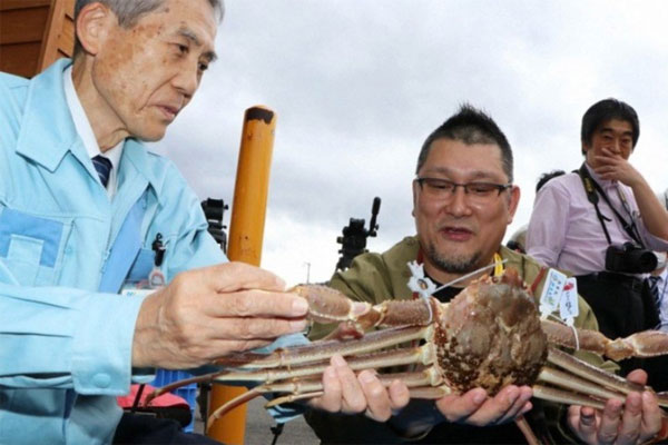 Dưa lạ đội lốt” xoài xanh, mọc lổn nhổn dưới đất, giá hơn 650.000đ/kg-5