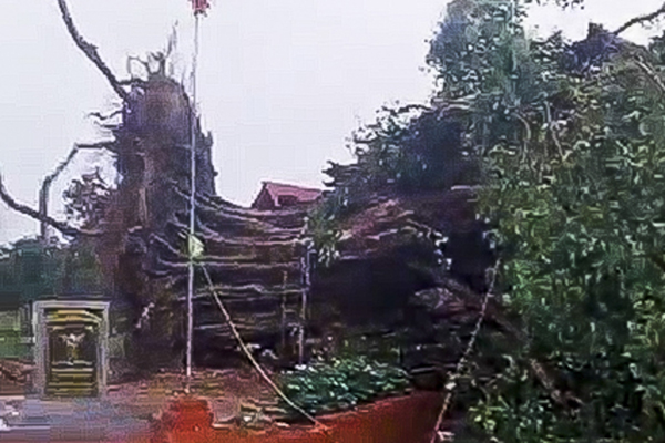 Mâu thuẫn chuyện cá cược bóng đá, 2 nữ sinh lao vào đánh nhau-4