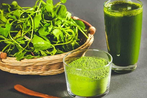 Loại rau xưa chuyên gia chống đói nay lên đời thành nhân sâm vạn người mê-2