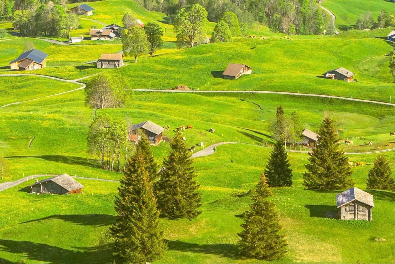 Chàng trai Việt đi 50 nước, kể chuyện 4 ngày săn thuỷ quái ở rừng Amazon-15