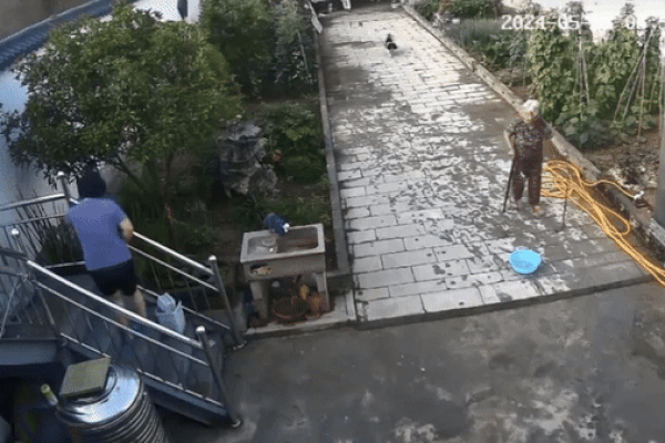 Clip: Cụ bà 89 tuổi dùng tay không bắt rắn khiến con gái sợ hãi