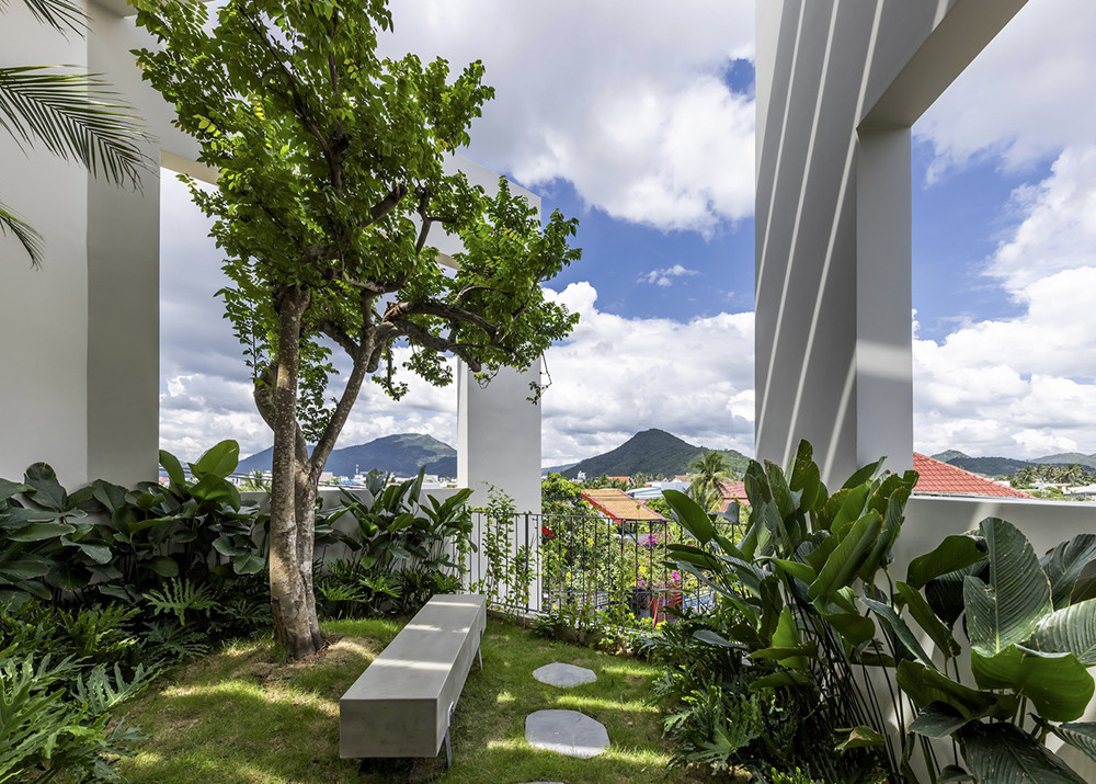 Nhà phố xây trên đất méo ấn tượng với bể bơi bao quanh-11