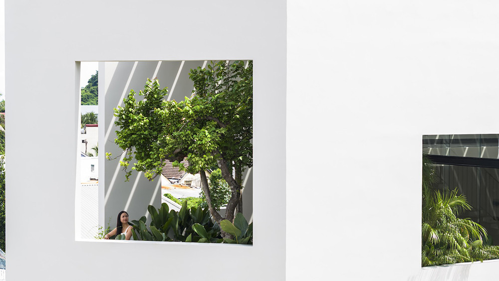 Nhà phố xây trên đất méo ấn tượng với bể bơi bao quanh-13