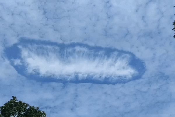 Clip: Du khách chứng kiến cảnh tượng chưa từng thấy trên bãi biển-2