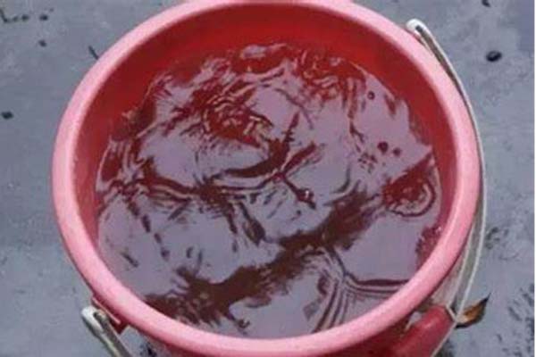 Con gái mẫu giáo đi học về luôn nói đau bụng, phụ huynh thấy ảnh gửi trong nhóm chat lớp liền xanh mặt-6