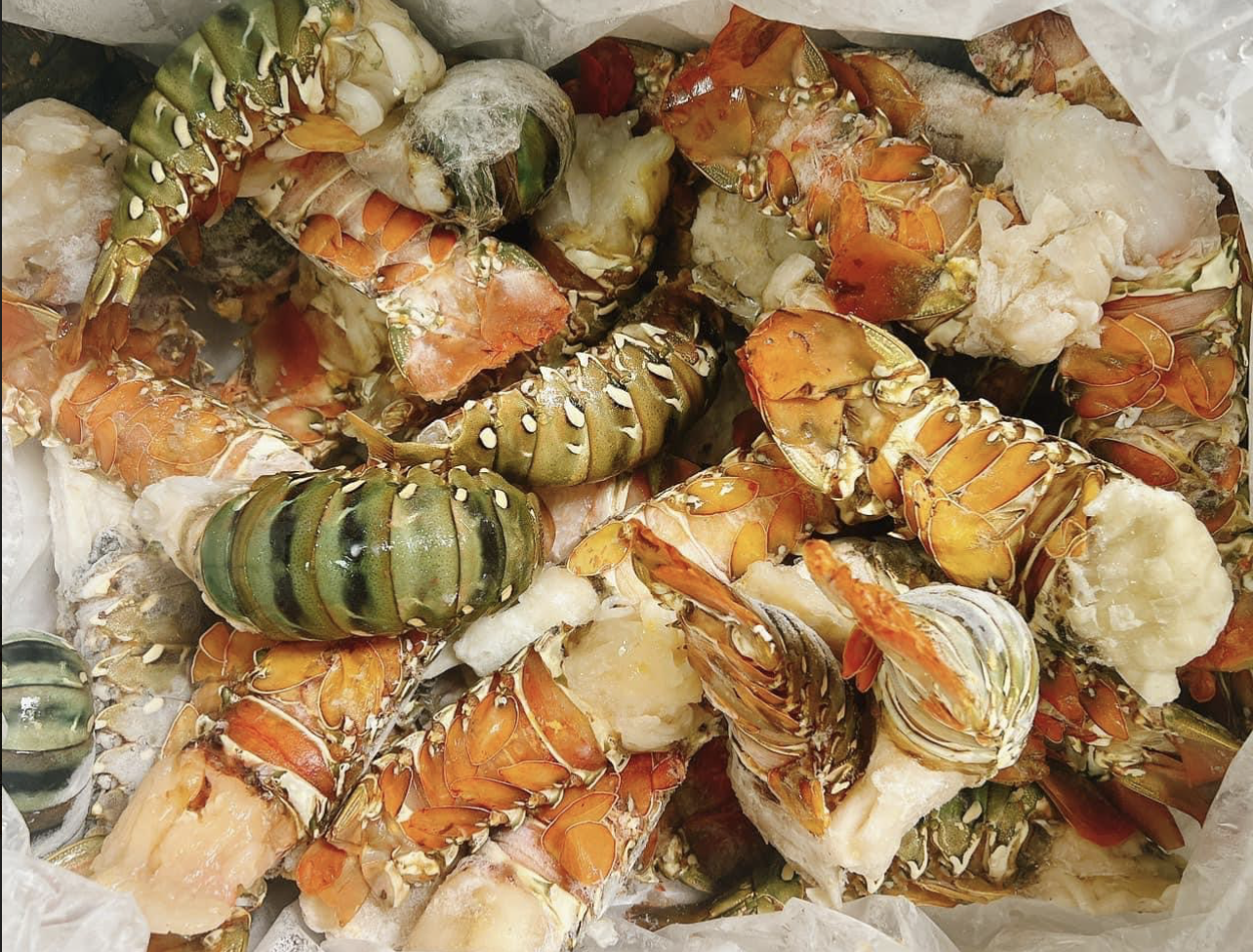 Tôm hùm bông cho nhà giàu đổ bộ chợ Hà Nội, giá siêu rẻ-1