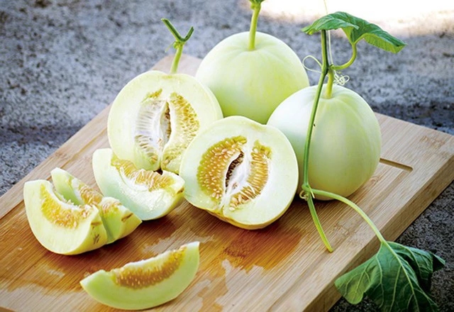 Dưa lê có một bộ phận càng to, quả càng thơm ngọt: Chọn kiểu này thì 10 quả như 1-2