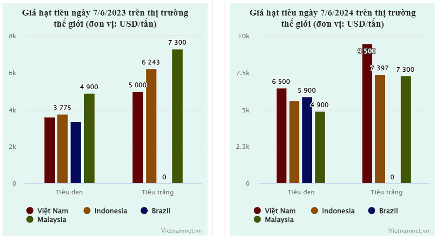 Các nước ồ ạt gom mua, ‘vàng đen’ của Việt Nam tăng giá sốc-2