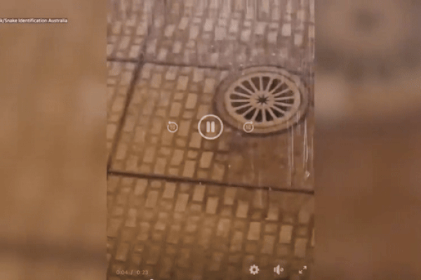 Clip: Trốn phí, ô tô tông văng nhân viên trạm thu phí rồi bỏ chạy-1