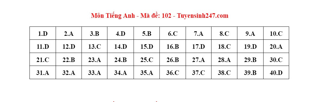 Đáp án gợi ý môn tiếng Anh thi lớp 10 Hà Nội năm 2024-2