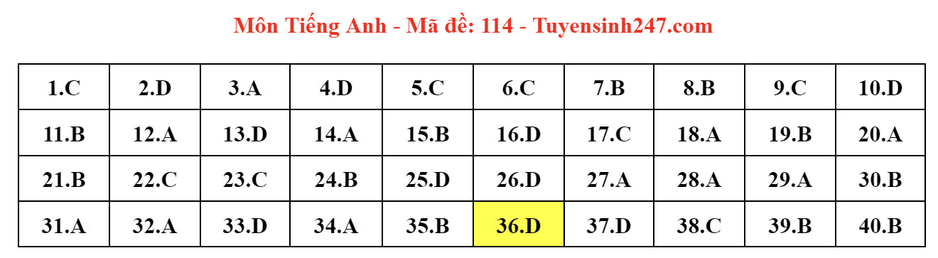 Đáp án gợi ý môn tiếng Anh thi lớp 10 Hà Nội năm 2024-14