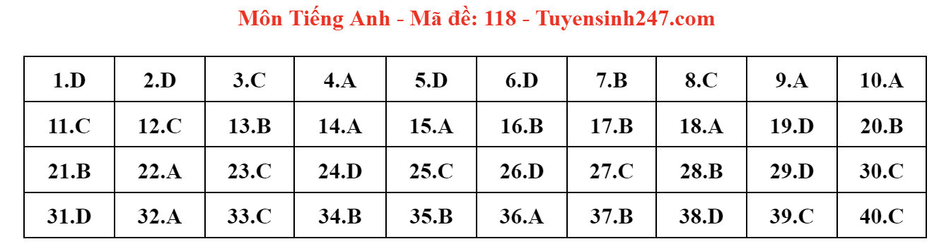 Đáp án gợi ý môn tiếng Anh thi lớp 10 Hà Nội năm 2024-18