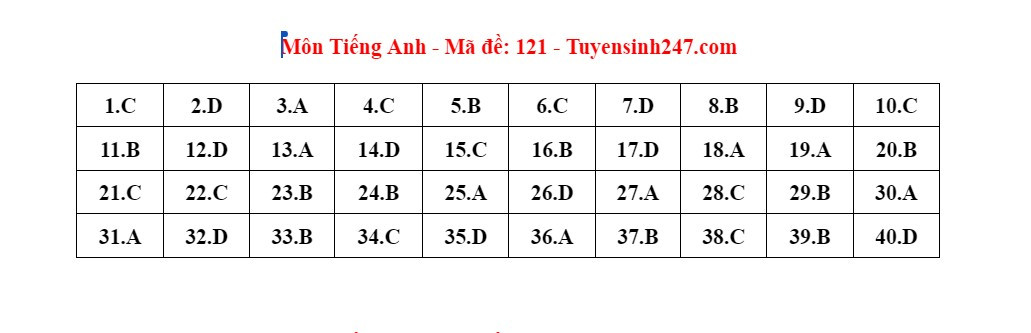 Đáp án gợi ý môn tiếng Anh thi lớp 10 Hà Nội năm 2024-21