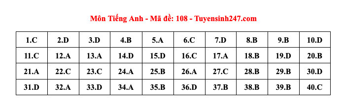 Đáp án gợi ý môn tiếng Anh thi lớp 10 Hà Nội năm 2024-8