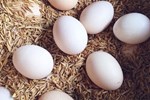 Thấy trứng có 5 dấu hiệu này tuyệt đối không mua kẻo tiền mất tật mang-3