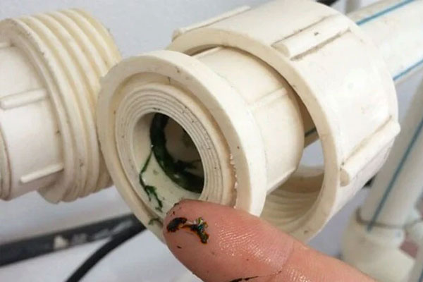 Lý do nên vệ sinh đường ống nước thường xuyên-1