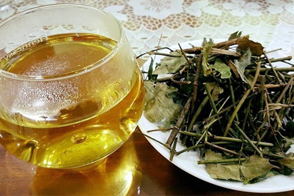 Có nên uống nước lá vối hàng ngày?-2