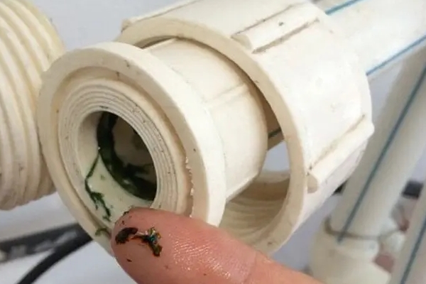 Chuyên gia mách 2 cách chọn mua thịt bò xịn-2