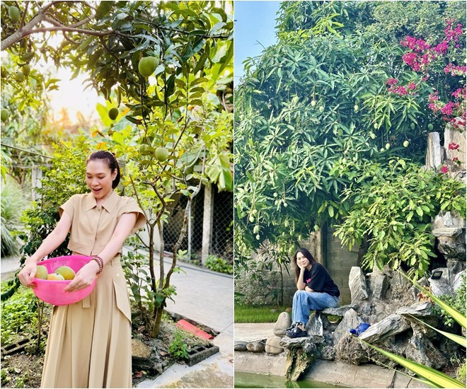 Khu vườn đầu hè của sao Việt: Mỹ Tâm - Mỹ Lệ khoái chí khoe táo xoài đầy vườn, hái vào đầy giỏ-15