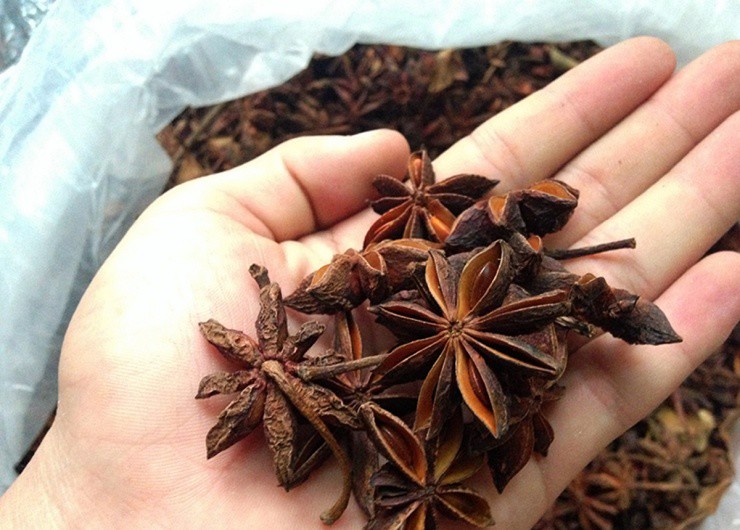 Hoa sen” treo lủng lẳng giữa rừng, nhanh tay hái bán gần trăm nghìn/kg-1